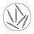 Микроиглы (спикулы)