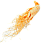 Женьшень